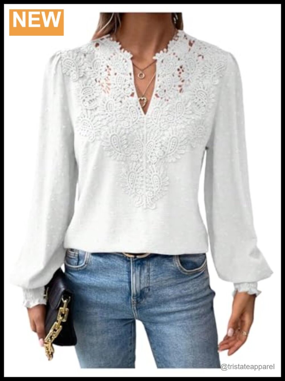 Women's Business Casual Blouse Lace Swiss Dots Lantern Sleeve Notched Shirt